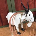 Goat Hill Provisions