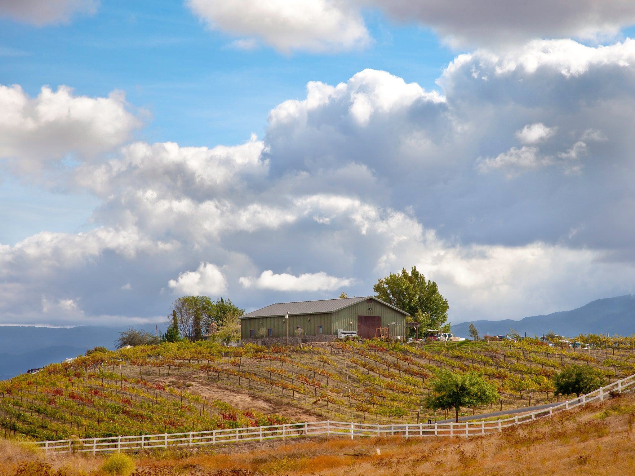 Palumbo Family Vineyard & Winery